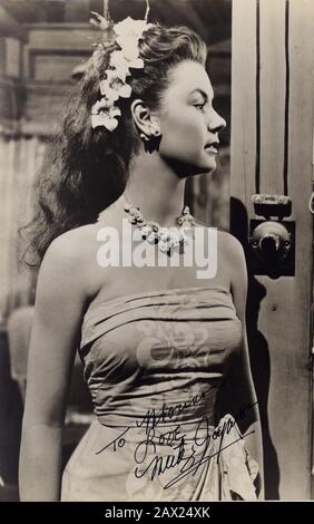 1953 , USA : l'attrice e ballerina MITZI GAYNOR ( nata nel 1931 , vero nome Francesca Marlene de Czanyi von Gerber ) , pubblica ancora per il film TRA LE PALME CHE SI RIPARANO da Edmund Goulding , Da una storia di Edward Hope - FILM - CINEMA - PIER ANGELI - ritratto - ritratto - fiori - collana - collana - decolleté - scolatura - scolatura - scollo - gioiello - gioielli - orecchini - orecchini - orecchini - Profilo - profilo - esotico - AUTOGRAFO - AUTOGRAPH - firma - firma ---- Archivio GBB Foto Stock