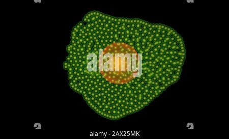 Microbi, molecole di farmaci, involucro di nanobot e cellula bersaglio di uccisione. rendering 3d Foto Stock