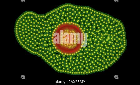 Microbi, molecole di farmaci, involucro di nanobot e cellula bersaglio di uccisione. rendering 3d Foto Stock