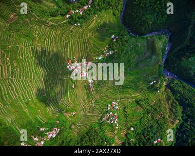 Veduta aerea dall'alto delle Terrazze di riso di Batad nella provincia di Ifugao, Luzon settentrionale, Filippine. Foto Stock