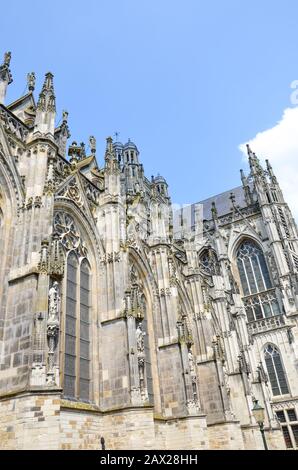 Cattedrale Di San Giovanni A Hertogenbosch, Brabante Nord, Paesi Bassi. Architettura gotica olandese, la più grande chiesa cattolica dei Paesi Bassi. Dominante del centro città. Foto Stock