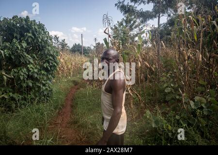 Nairobi, Kenya. 4th Feb, 2020. Bernard Mwaura, un coltivatore nella contea del Muranga del Kenya, ha detto che i lavoratori del governo sono venuti a spruzzare pesticidi subito dopo che li ha telefonati per l'aiuto con la locuste.Kenya sta vivendo la peggiore epidemia di locuste nel deserto in 70 anni. Le locuste hanno raggiunto anche la Somalia, il Sudan, l'Uganda, l'Eritrea e l'Etiopia. Credit: Sally Hayden/Sopa Images/Zuma Wire/Alamy Live News Foto Stock