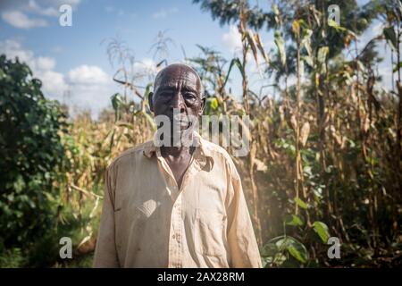 Nairobi, Kenya. 4th Feb, 2020. Stephen Kibewawweru, 82, dice che l'ultimo focolaio di locusta che può ricordare ha avuto luogo in 1948, quando era un child.Kenya sta sperimentando lo scoppio più difettoso delle locuste del deserto in 70 anni. Le locuste hanno raggiunto anche la Somalia, il Sudan, l'Uganda, l'Eritrea e l'Etiopia. Credit: Sally Hayden/Sopa Images/Zuma Wire/Alamy Live News Foto Stock