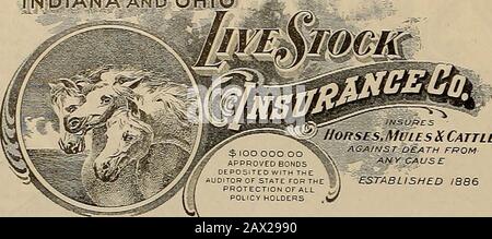 Allevatore e sportivo. L'ALLEVATORE E SPORTIVO [sabato 25 settembre 1909. Assicurati il tuo Live Stock INDIANA E OHIO. I LEGAMI *VDEPOSITED con il ^AUDITOR DI STATO PER THEPROTECTION OFAIPOLICY HOLDERS IfitSQ&ES HORSES.lifULES&CATTLE CONTRO:MORTE FROMAMY CAUSE STABILITO 1886 state Agents: W. T. CLEVERDON, 350 Sansome St., San Francisco.J. Ed VAN CAMP, Germain Bldg., Los Angeles. La più grande E OLDESTSTOCK SOCIETÀ Asset 350.000 dollari. Nessuna Valutazione. Le parti responsabili con buone agenzie di opportunità commerciali si applicano agli StateAgents. HEALDSBUSINESSCOLLEGE si allena per le imprese e pone i propri laureati Foto Stock