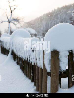 Alberi innevati con foreste e recinzioni nel paesaggio rurale invernale nella neve profonda, Austria Foto Stock