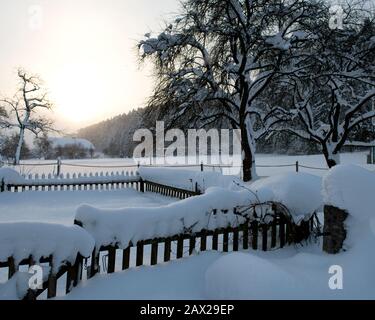 Alberi innevati con foreste e recinzioni nel paesaggio rurale invernale nella neve profonda, Austria Foto Stock