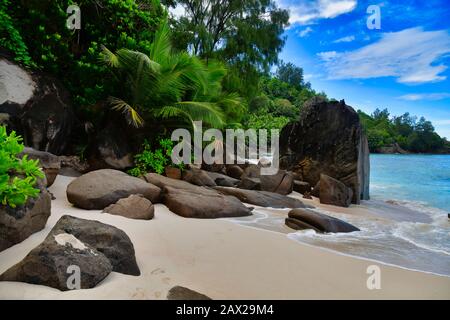 Onde dell'oceano e rocce di granito Anse Intensance, Isola di Mahe, Seychelles. Palme, sabbia, onde che si infrangono, bella riva, cielo blu e acqua turchese Foto Stock