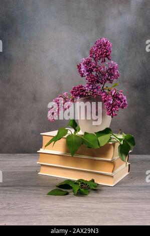 Foto verticale di splendidi fiori lilla viola in vaso sulla cima di una pila di libri bianchi. Vaso verde che circonda il lievito. Backgrouns grigio blu e legno Foto Stock