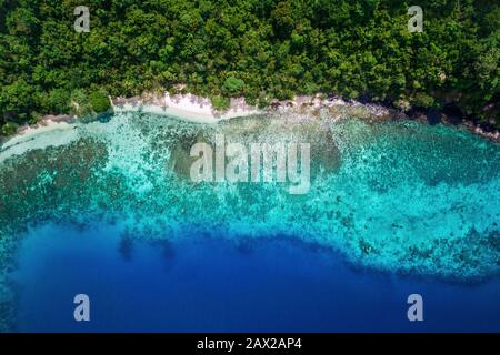 Paradiso tropicale dell'isola, vista aerea dall'alto sulle acque turchesi e la vegetazione lussureggiante da appartata spiaggia di sabbia bianca. Foto Stock