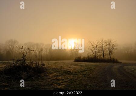 Un'alba di mattina nebbiosa nel freddo dell'inverno. Foto Stock