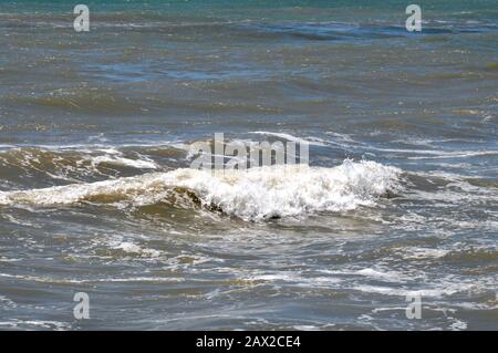 Onde selvagge in mare Foto Stock