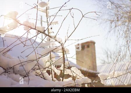 Closeup rami sottili alberi coperti di neve in giardino soleggiato. Camino rurale e cielo sullo sfondo. Foto Stock