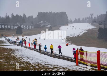 Skilift trasportatore a nastro, area sciistica per principianti Ritzhagen, gestito con neve artificiale, da cannoni da neve, Willingen, Sauerland, Hessen, Germania, Foto Stock