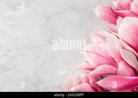 Layout creativo realizzato con fiori di magnolia rosa su sfondo grigio. Disposizione piatta. Concetto minimo di primavera con spazio di copia Foto Stock