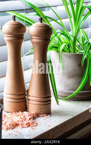 Sale di legno e pepe con sale himalayano , con pepe sparso intorno pianta verde in cucina Foto Stock