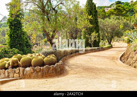 Un percorso tra cactus e succulenti nel succulento giardino di Pinya de Rosa in Spagna. Foto Stock