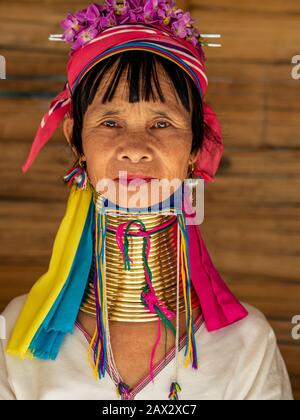 Provincia di Chiang Rai, Thailandia, ritratto di Karen Long Neck donna al villaggio tribù collina vicino a Chiang Rai. Foto Stock