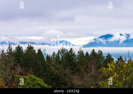 Vancouver City Skyline Nascosto Dietro Brush Foto Stock