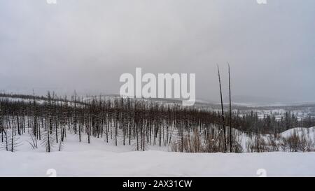 Inverno sulla John D. Rockefeller, Jr. Memorial Parkway Foto Stock