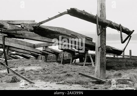 Purton Hulks, resti di chiatte in legno abbandonate sulle rive del fiume Severn Glos UK. Aiuta a prevenire l'errosion della banca vicino al canale di nitidezza Foto Stock