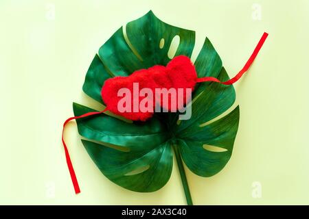 Big Leaf mostera fascia da sonno a forma di cuore per gli occhi. San Valentino Foto Stock