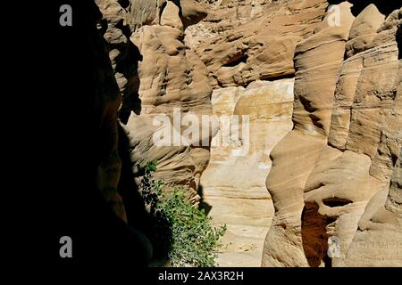 Formazioni calcaree nel Canyon del colore. Nuweiba. Egitto Foto Stock