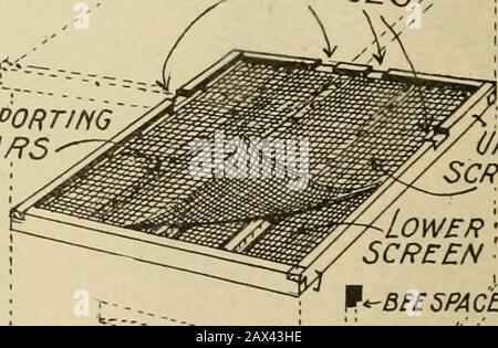 Gleanings nella coltura dell'ape. Fuori en-trances fatto nel ratherthere dell'apee-excluser nella camera di covata sopra esso. Tra gli usi Avhich può essere chiamato forthe apee-exclusider sono: 1. Per chiudere l'alveare in api commoventi. 2. Per separare una colonia debole da una colonia piuttosto forte, allo scopo di edificare la colonia debole, quando, per qualsiasi ragione, si teme che una delle due regina mintbe sia persa se si usa un queen-excluser. 3. Allo scopo di introdurre un'aqueen con assoluta sicurezza, da parte del distaccatore su telai di covata covata sopra acolonia. L'apee-excluser è jilaced be-Tween. 4. Per fornire un posto da mettere Foto Stock