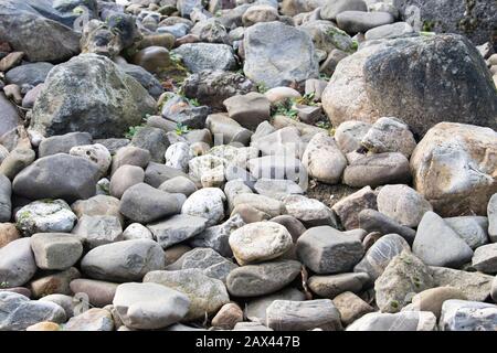 Colpo ad angolo alto del terreno coperto con piccolo e. grandi pietre di fiume Foto Stock