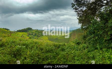 Vista panoramica della campagna e dei campi nella Foresta Impenetrabile di Bwindi, Parco Nazionale Impenetrabile di Bwindi, distretto di Kanungu, Regione Occidentale, Uganda Foto Stock