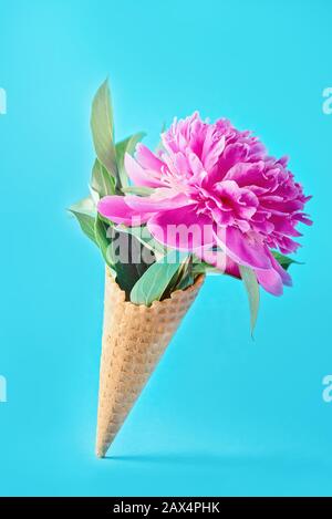 Fiore e foglia verde in waffle mais su sfondo blu Foto Stock