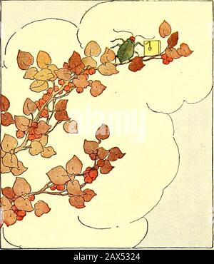 Il libro di Peter Patter; rime per i bambini . Un MAGGIOLINO UNA VOLTA SAT SU UN RAMOSCELLO DI BACCHE UN coleottero una volta sedette su un ramoscello di bacca del bar, e girò alla manovella di un thingum-a-jig. Aghi per cornetti, Nippersfor forms, Per il bumblebee baby nuovamente paio di pantaloni, Per il vecchio cappello gofera grizzled e una parrucca, il coleottero macinare fuori del suo thingum-a-jig. Foto Stock