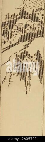 Creatori Di San Diego 1915 Panama-California Exposition . Foto Stock