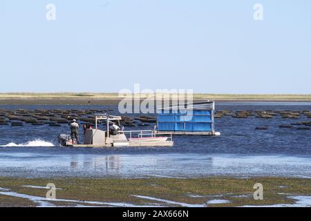 Allevamento ittico lungo le rive della costa di Gaspe in Quebec, Canada Foto Stock