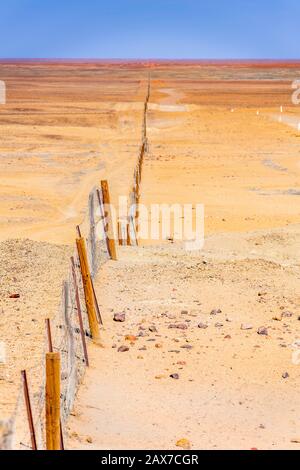 Il Dingo Fence o Fence del cane è una recinzione di esclusione di peste che è stata costruita in Australia fra 1880 - 1885, per tenere i dingo fuori e proteggere le pecore. Foto Stock