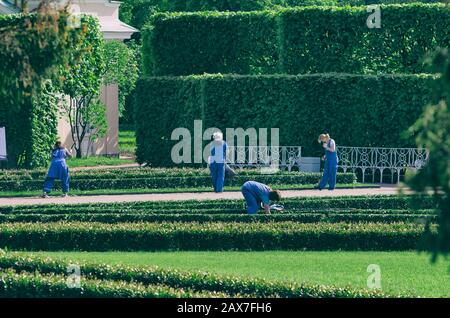 Tsarskoye Selo, San Pietroburgo, Russia-20 maggio 2016: Groop di giardinieri femminili pulisce e pulisce i prati la mattina della primavera Foto Stock