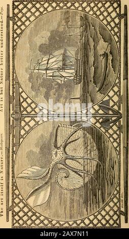 La tragedia dei mari; o, Dolore sull'oceano, sul lago e sul fiume, dal naufragio, dalla peste, dal fuoco e dalla carestia .. . LBAgOB .Bs^^Y o^ CONGRESSO 0 021 648 913 5tragedyofseasors00ellm. 8 Foto Stock