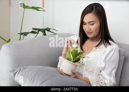 Donne asiatiche in merletto bianco biancheria da notte e accappatoi di seta contengono piante di purificazione dell'aria seduti sul divano grigio nella camera da letto di notte. Sansevieria Trifasci Foto Stock