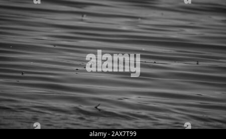 Maree di acqua di lago, modello, bianco e nero Foto Stock