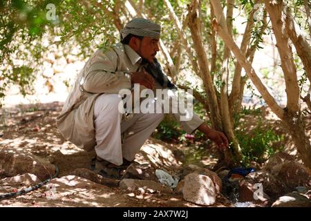 I giardini all'ombra del Monte Il Sinai è innaffiato da acqua accuratamente immagazzinata e distribuita. Foto Stock
