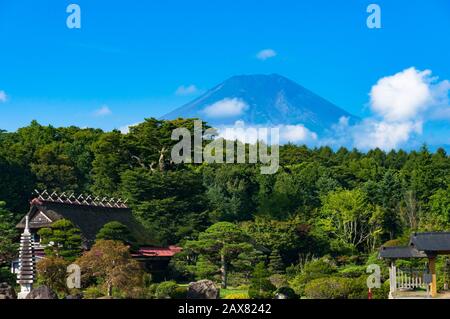 Monte Fuji con alberi verdi e parco in primo piano in una chiara giornata di sole Foto Stock