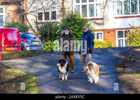 Northampton, Regno Unito. 11th Febbraio 2020, una luminosa mattinata di sole ad Abington Park per un paio di amici che camminano i loro cani godendosi l'aria fredda e fresca mentre fanno una chiacchierata. Credito: Keith J Smith/Alamy Live News. Foto Stock