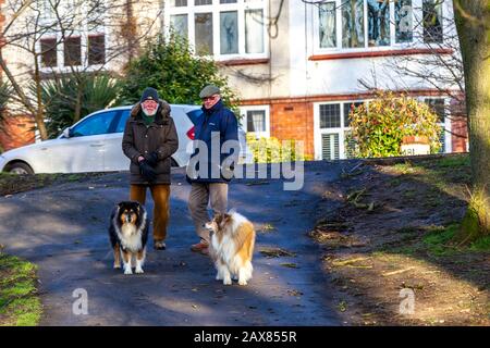 Northampton, Regno Unito. 11th Febbraio 2020, una luminosa mattinata di sole ad Abington Park per un paio di amici che camminano i loro cani godendosi l'aria fredda e fresca mentre fanno una chiacchierata. Credito: Keith J Smith/Alamy Live News. Foto Stock