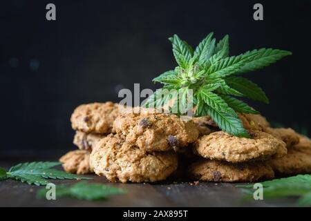Biscotti fatti in casa con cippato di cioccolato di cannabis Foto Stock