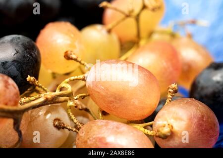 Frutti di bosco gialli con gocce d'acqua da vicino Foto Stock