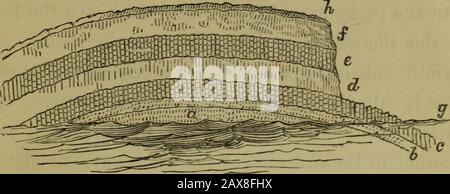 Memororandums fatto in Irlanda nell'autunno del 1852. Forma arcuata, l'arco che raggiunge la sua più grande altezza (400 piedi) abovePleaskin. Gli strati poi gradualmente scendendo, andcon una curva dolce, toccare, alla distanza di circa due miglia da Pleaskin, la linea d'acqua in tale uomo-ner che il letto ocra (b) dips interamente uuder thewater, e la fascia colonnare inferiore (c) è parzialmente fusa im-merge, una parte di essa verso la terra ancora rimanere-ing sopra il livello del mare. Xow, se concepiamo, che la Causa (qualunque cosa sia stata) che per la frattura degli strati formò la scogliera di mare, spezzò tutti i letti Foto Stock