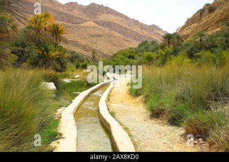 Sistema di irrigazione a Wadi bani khalid, Oman Foto Stock