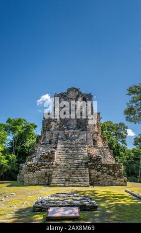 Struttura 8I-13 (El Castillo) a Chunyaxche (Muyil) rovine Maya, foresta pluviale vicino a Tulum, penisola dello Yucatan, Quintana Roo stato, Messico Foto Stock