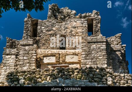 Struttura 8I-13 (El Castillo) a Chunyaxche (Muyil) rovine Maya, foresta pluviale vicino a Tulum, penisola dello Yucatan, Quintana Roo stato, Messico Foto Stock