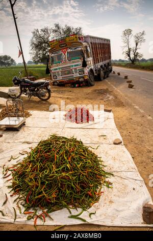 India, Rajasthan, Hindaun, camion fino ad assale in sabbia vicino al peperoncino stallo, dopo aver eseguito fuori strada Foto Stock