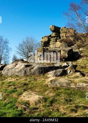 Gritstone Rocks a Brimham Beacon sul bordo meridionale di Brimham Moor Nidderdale AONB North Yorkshire England Foto Stock